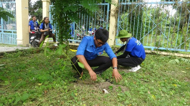 trồng cây